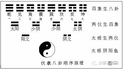 伏羲八卦动态揭秘，独胆一象清晰可见